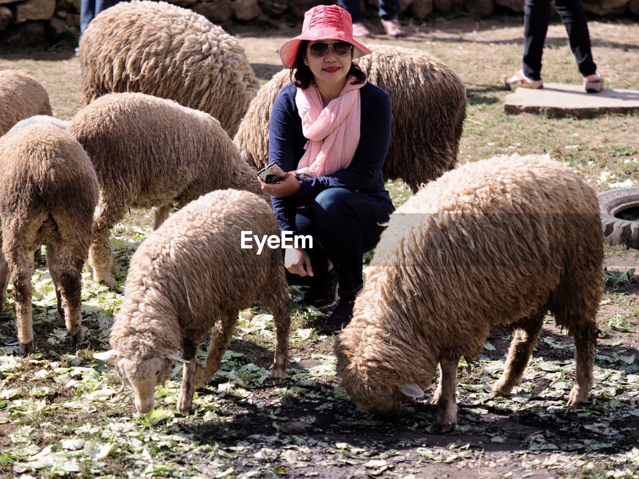 Woman wearing hat crouching amidst sheep at farm