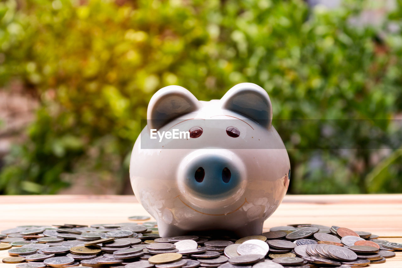 Close-up of piggy bank and coins