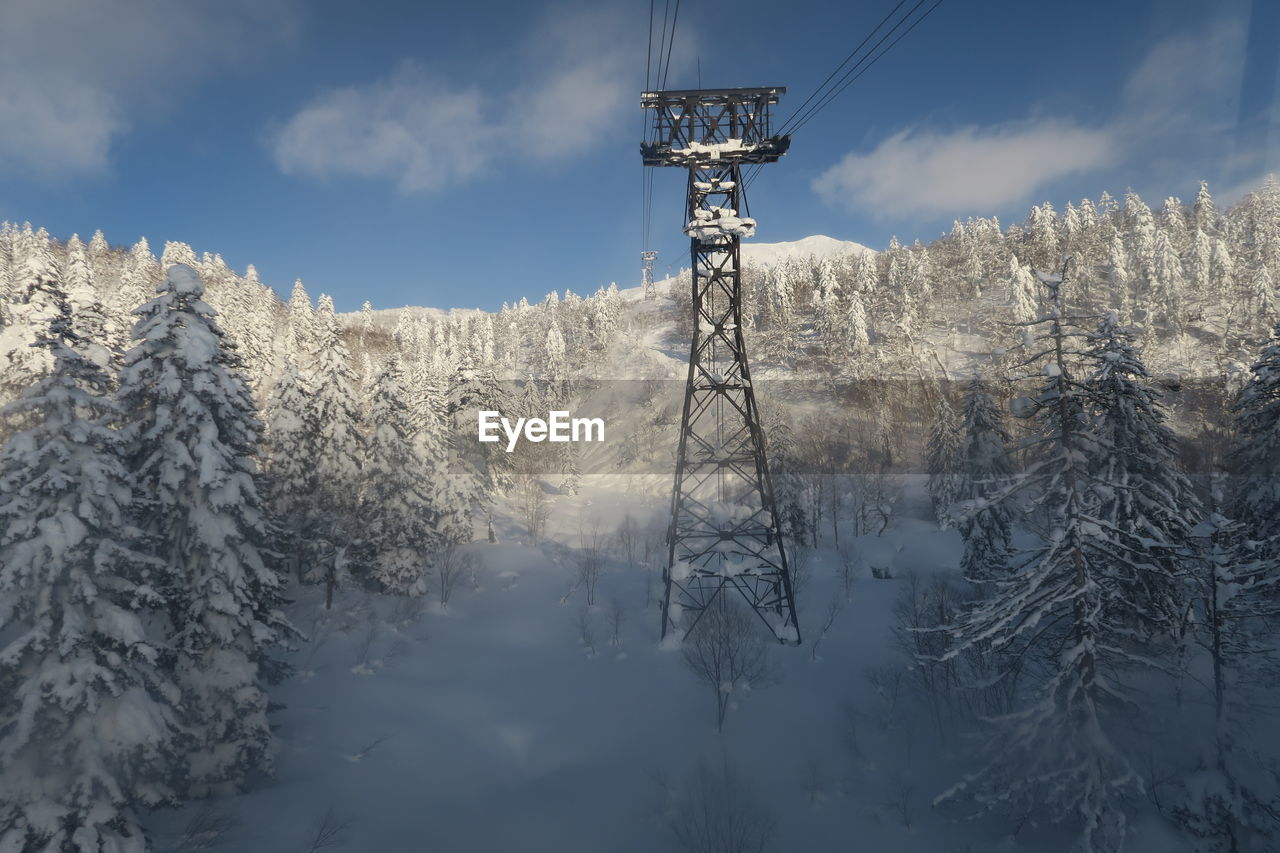 Snow covered trees on mountain against sky