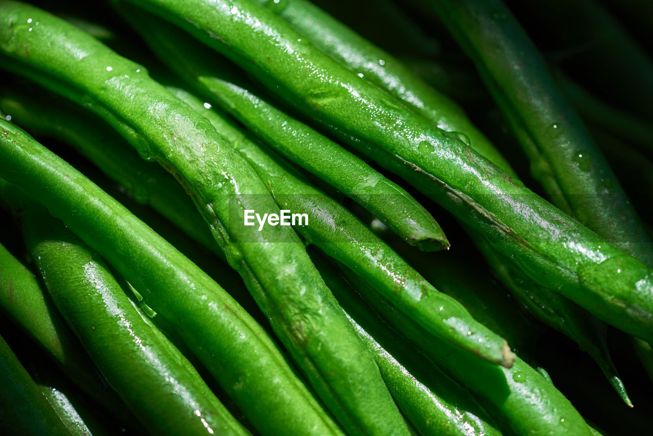 High angle view of wet green beans