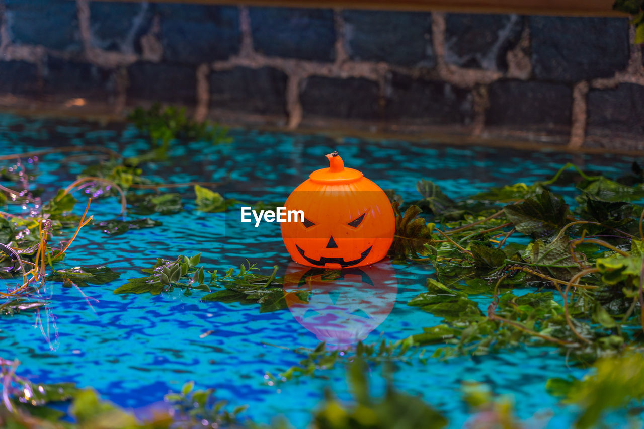 VIEW OF PUMPKIN AGAINST BLUE WATER