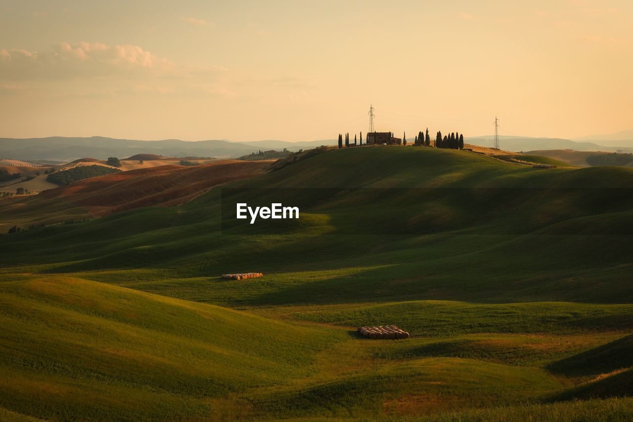 Scenic view of agricultural field against sky