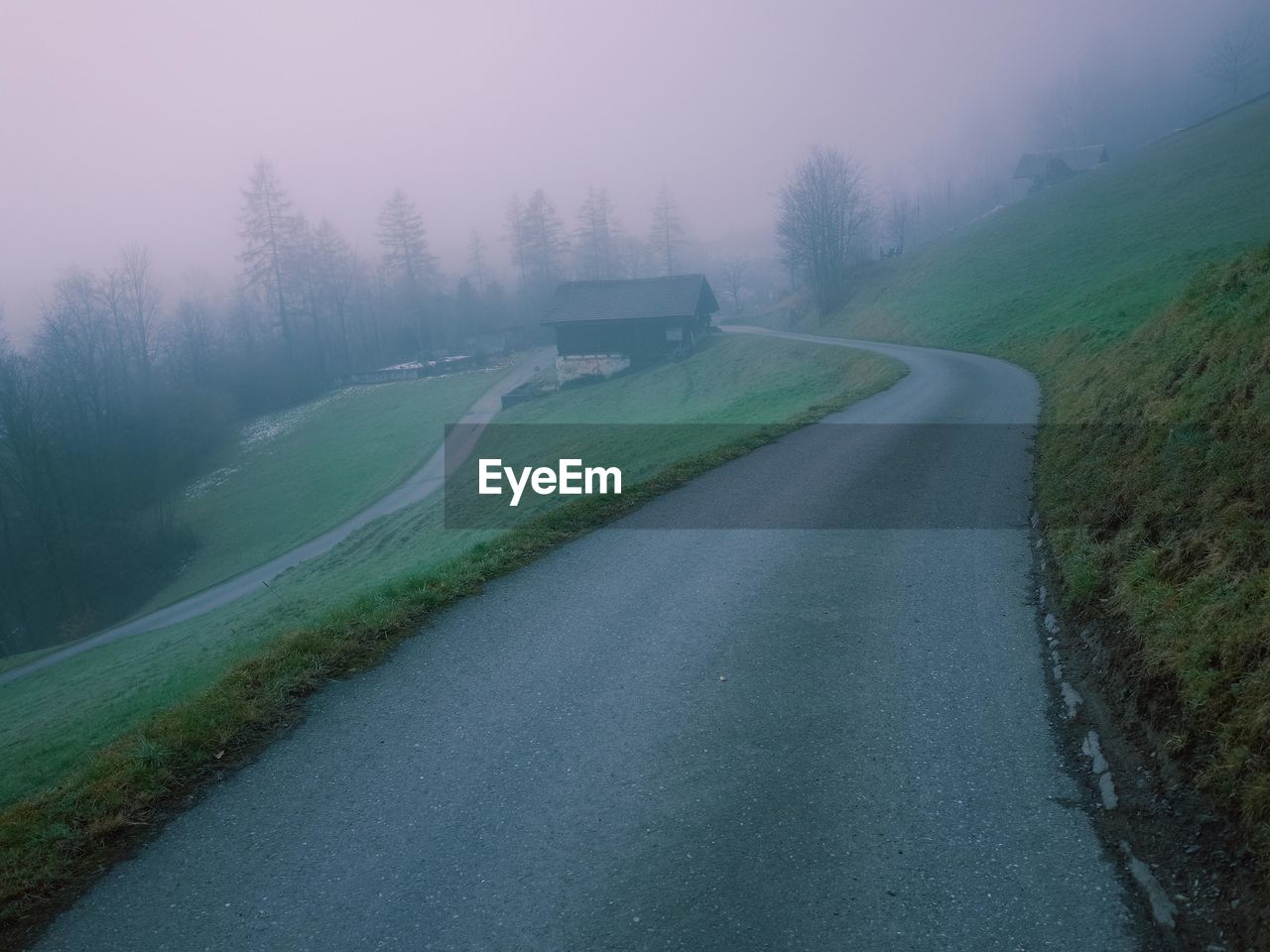 Empty road passing through forest