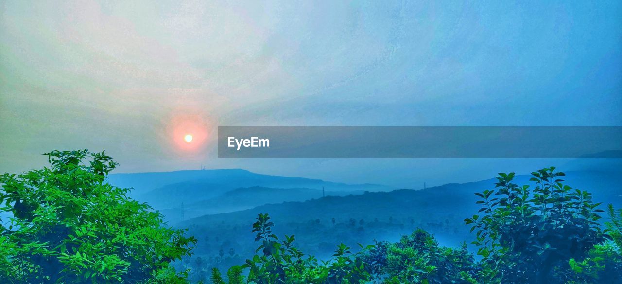 SCENIC VIEW OF TREES AGAINST SKY