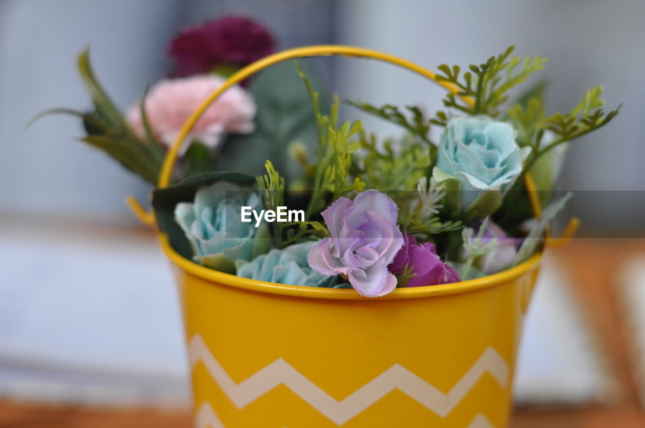 Close-up of purple flower pot on potted plant