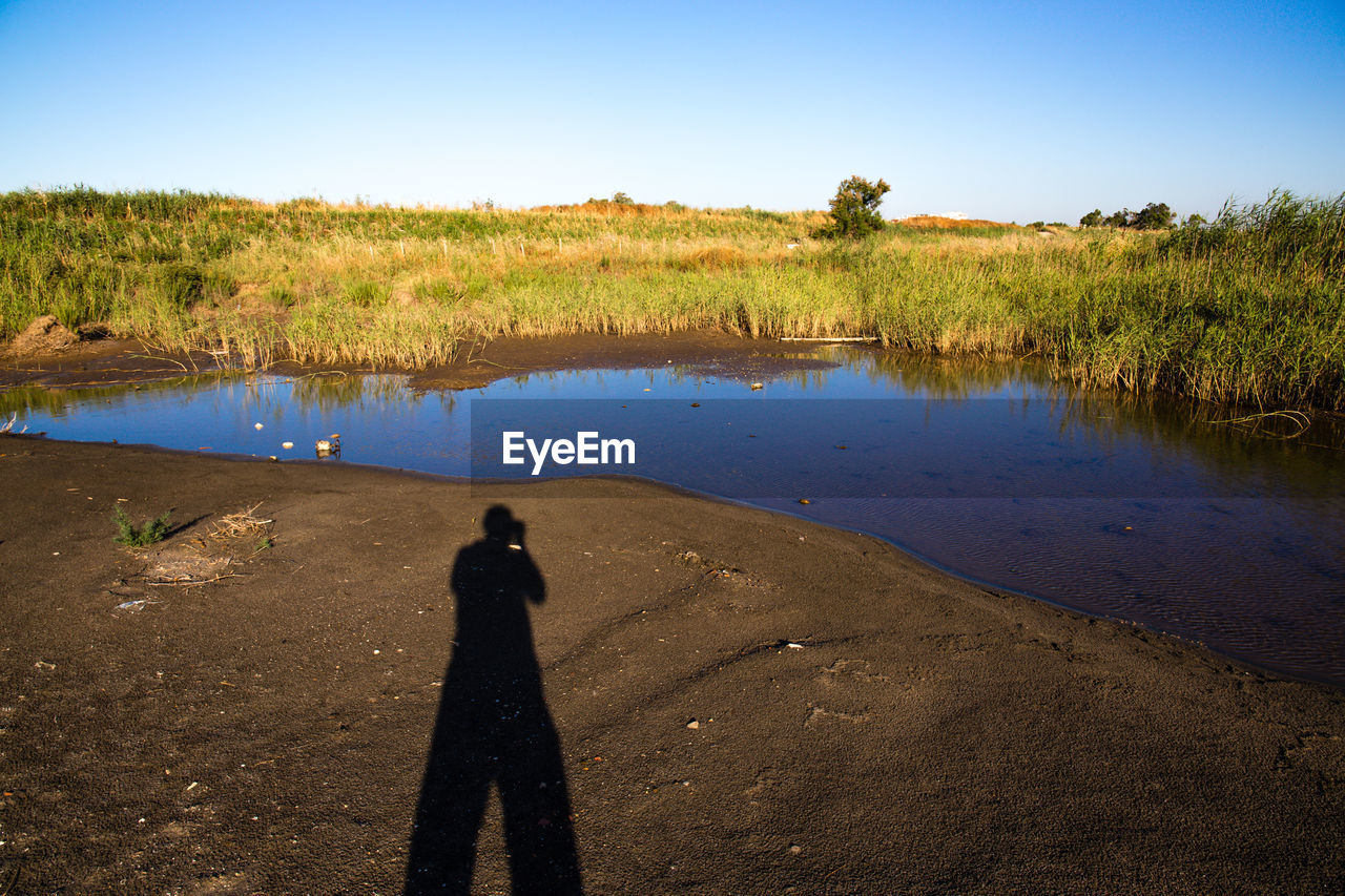 Shadow of man by pond during sunny day