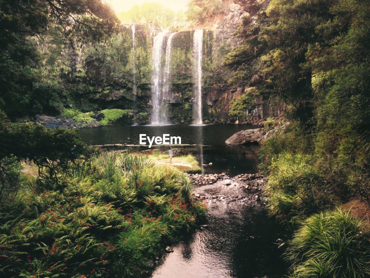 WATERFALL AMIDST TREES IN FOREST