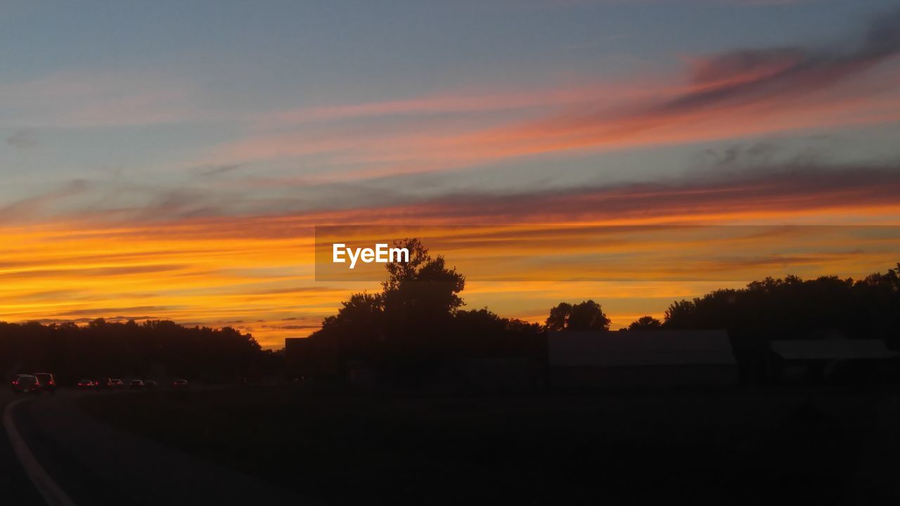 SILHOUETTE TREES ON LANDSCAPE AT SUNSET