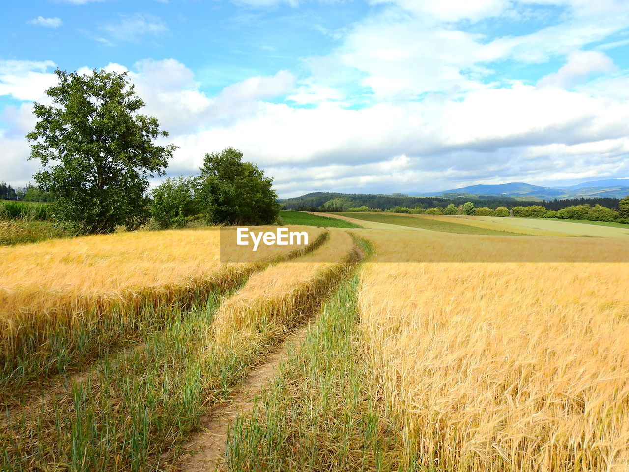 SCENIC VIEW OF FARM AGAINST SKY