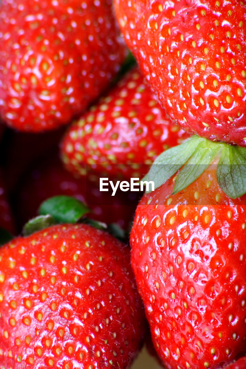Close-up of fresh strawberries