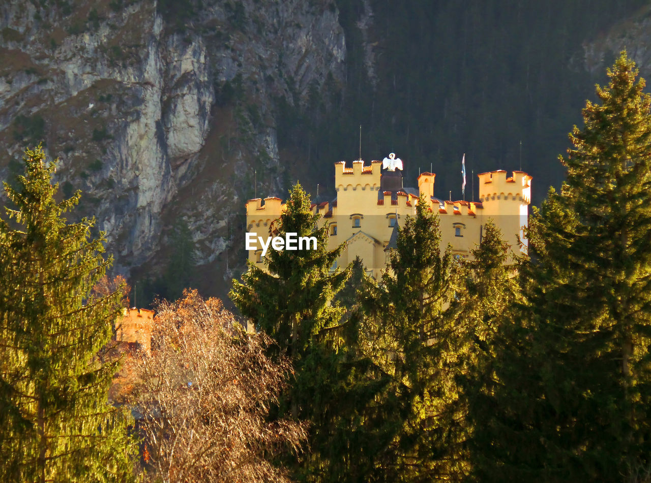 PLANTS AND TREES BY BUILDINGS AGAINST MOUNTAINS