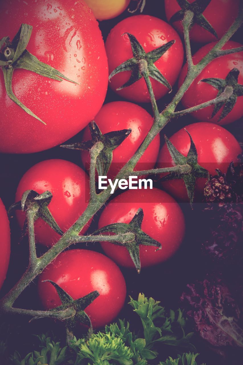 high angle view of tomatoes on table