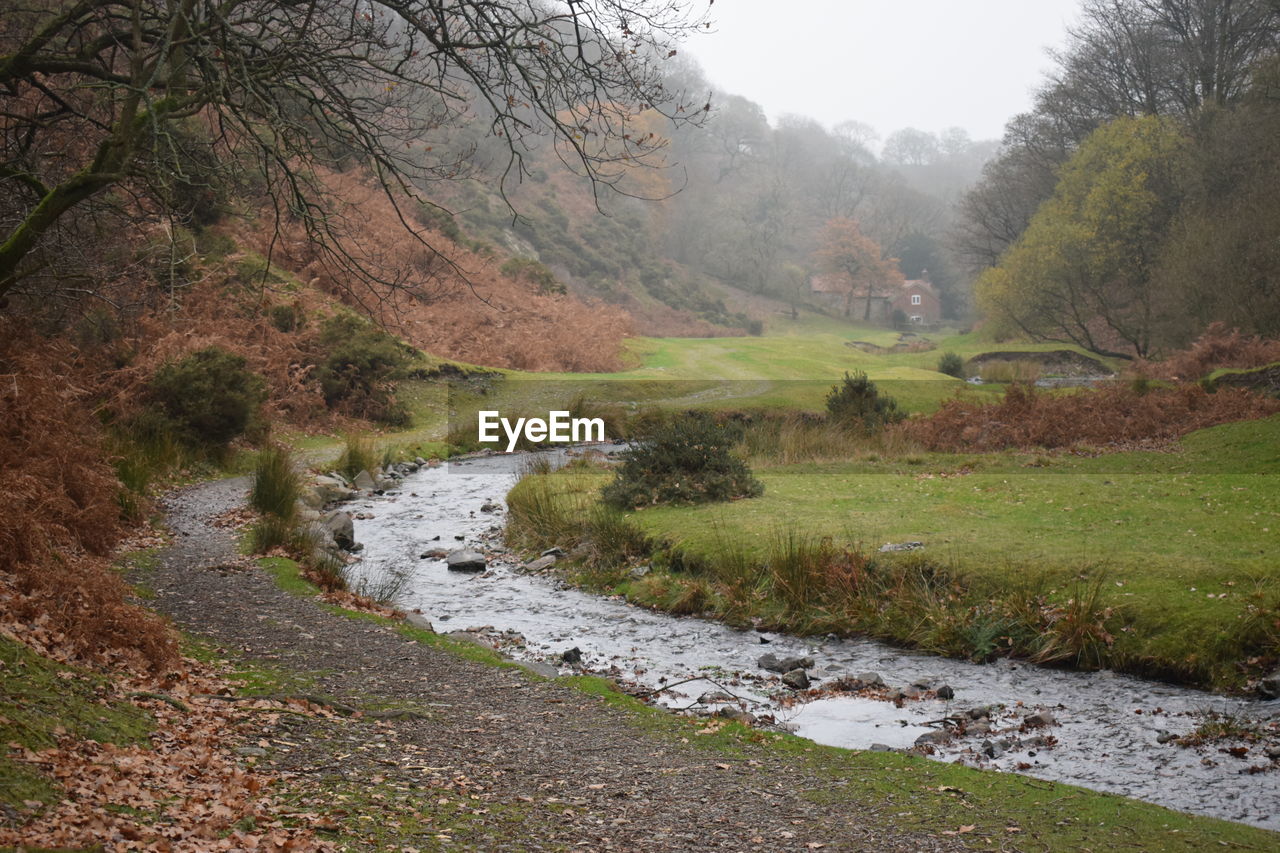 SCENIC VIEW OF STREAM AMIDST TREES AND MOUNTAINS