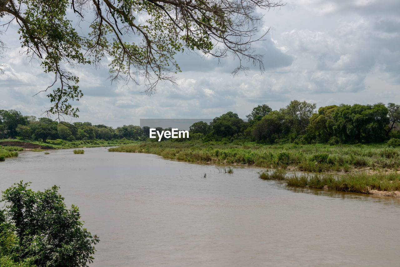 Scenic view of river in forest against sky