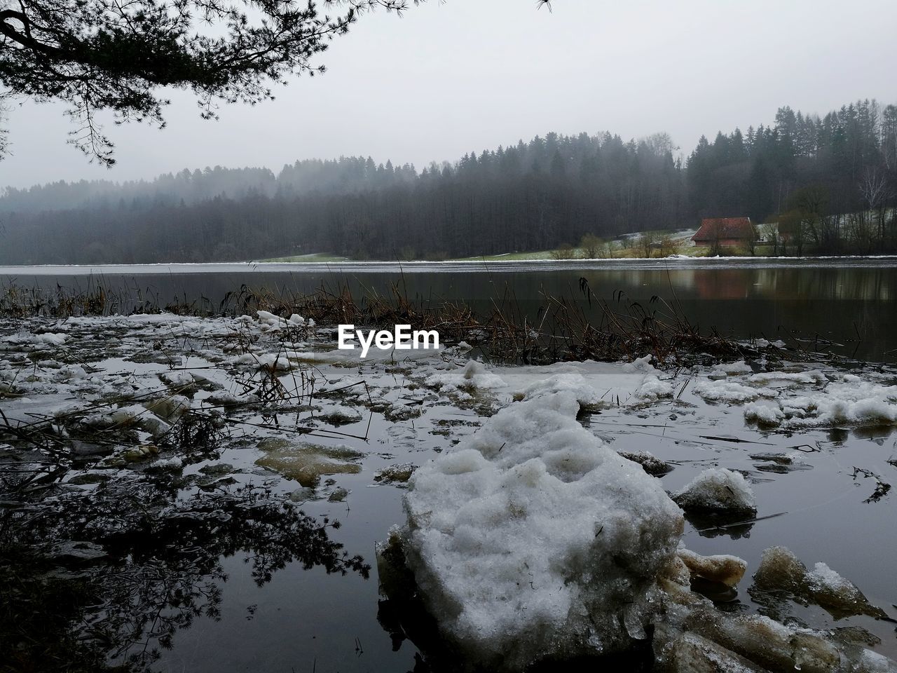 REFLECTION OF TREES IN LAKE DURING WINTER