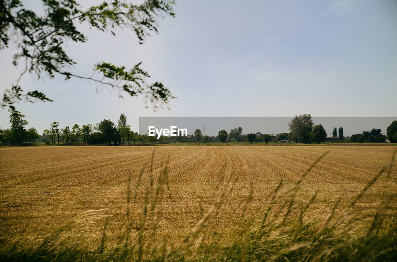 Beautiful spring landscape on rural countryside