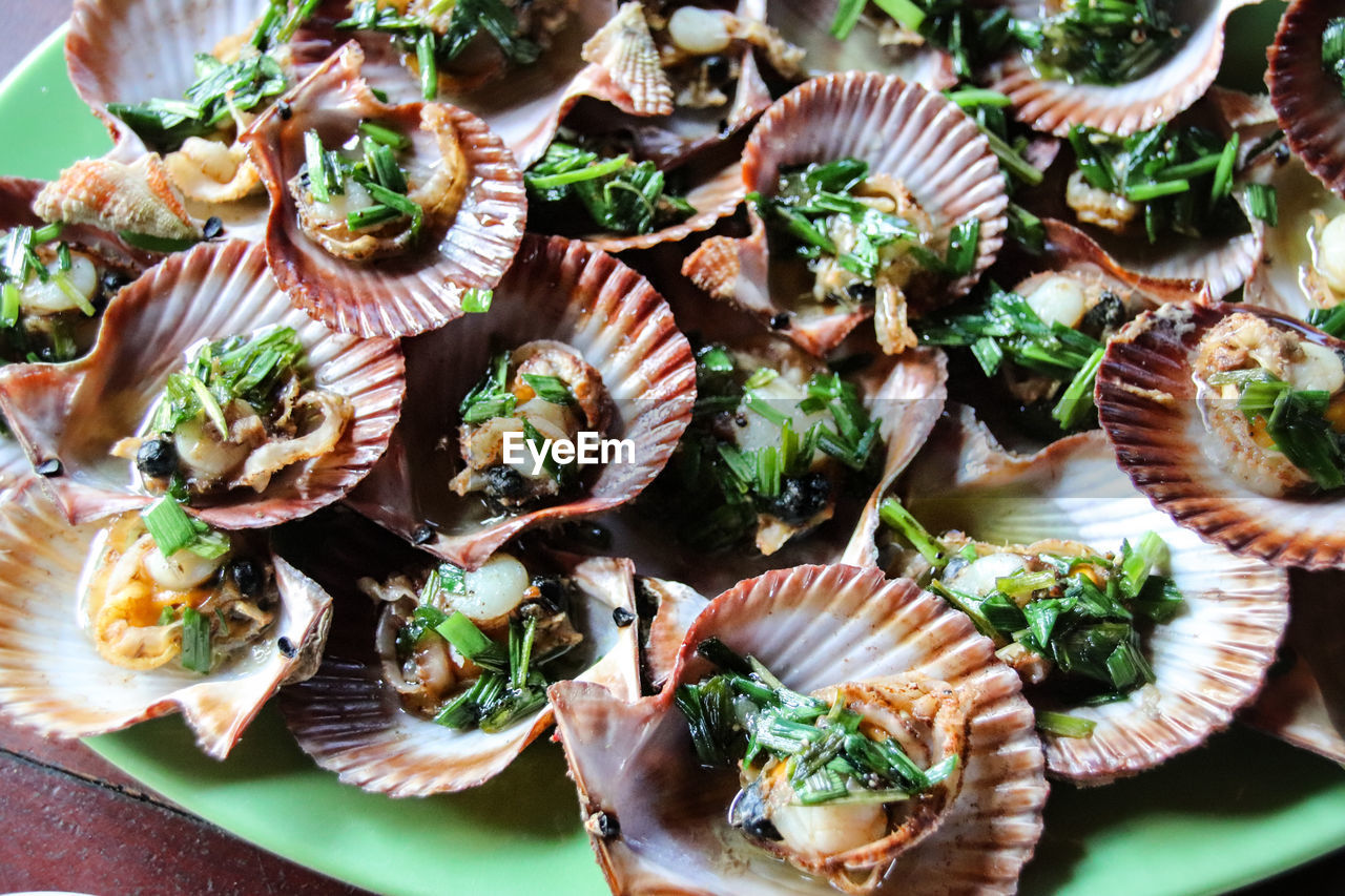 HIGH ANGLE VIEW OF SHELLS ON TABLE