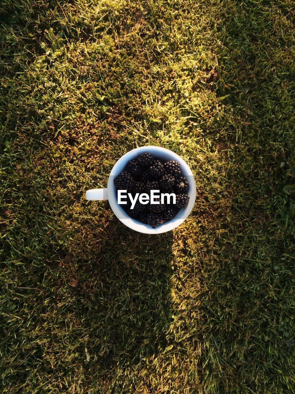 High angle view of blackberries in cup on grassy field