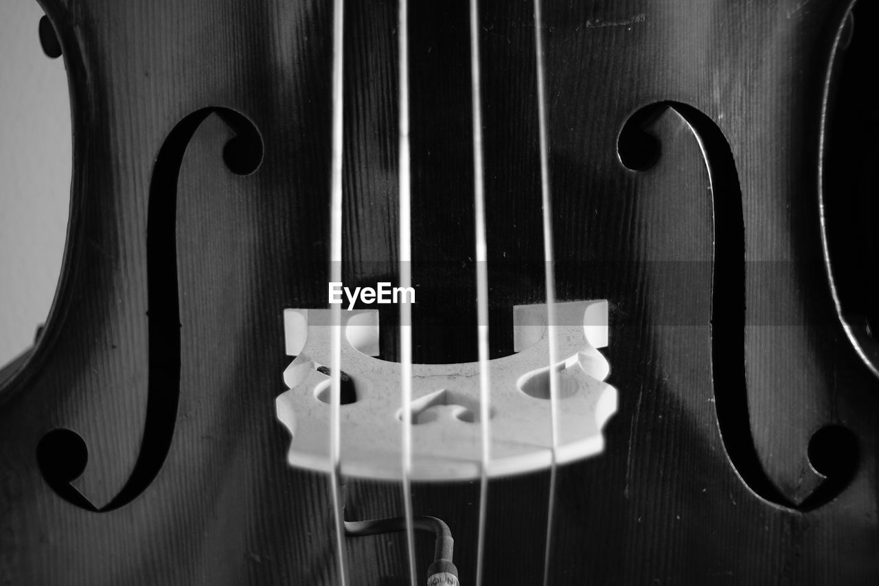 music, musical instrument, string instrument, musical equipment, arts culture and entertainment, violin, string, black and white, musical instrument string, bass guitar, bowed string instrument, cello, guitar, monochrome, monochrome photography, double bass, viola, black, indoors, wood, no people, close-up, classical music, white, acoustic guitar, bass violin