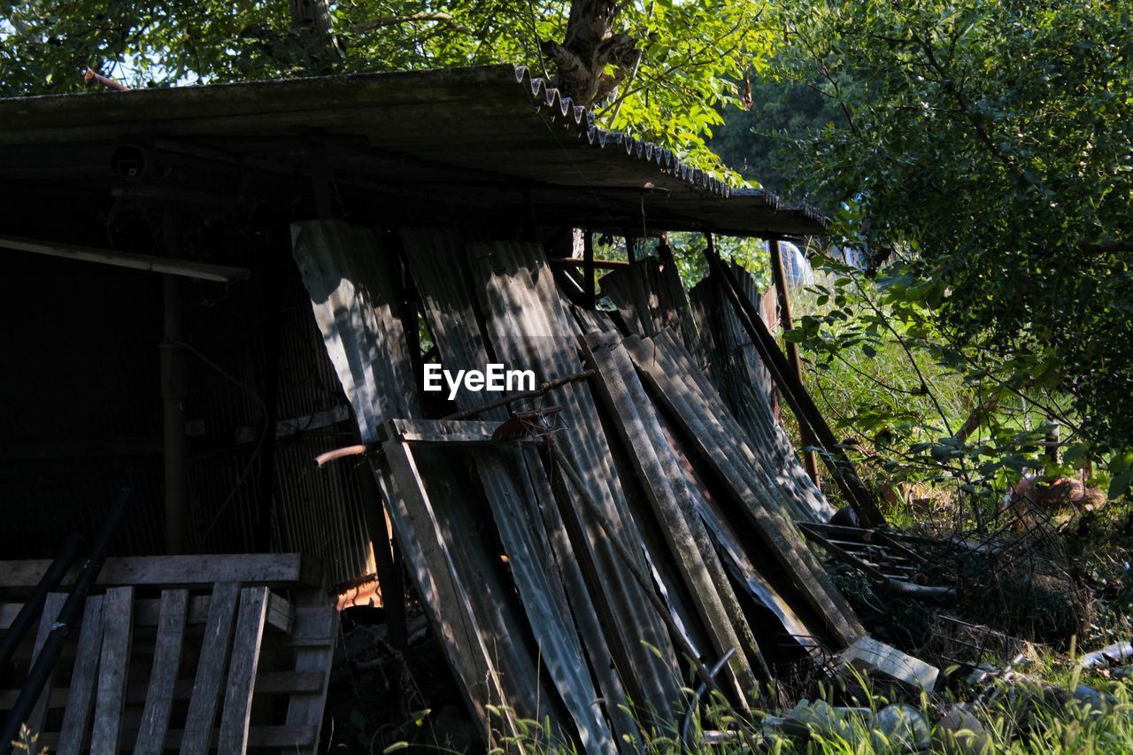 WOODEN HUT IN FOREST