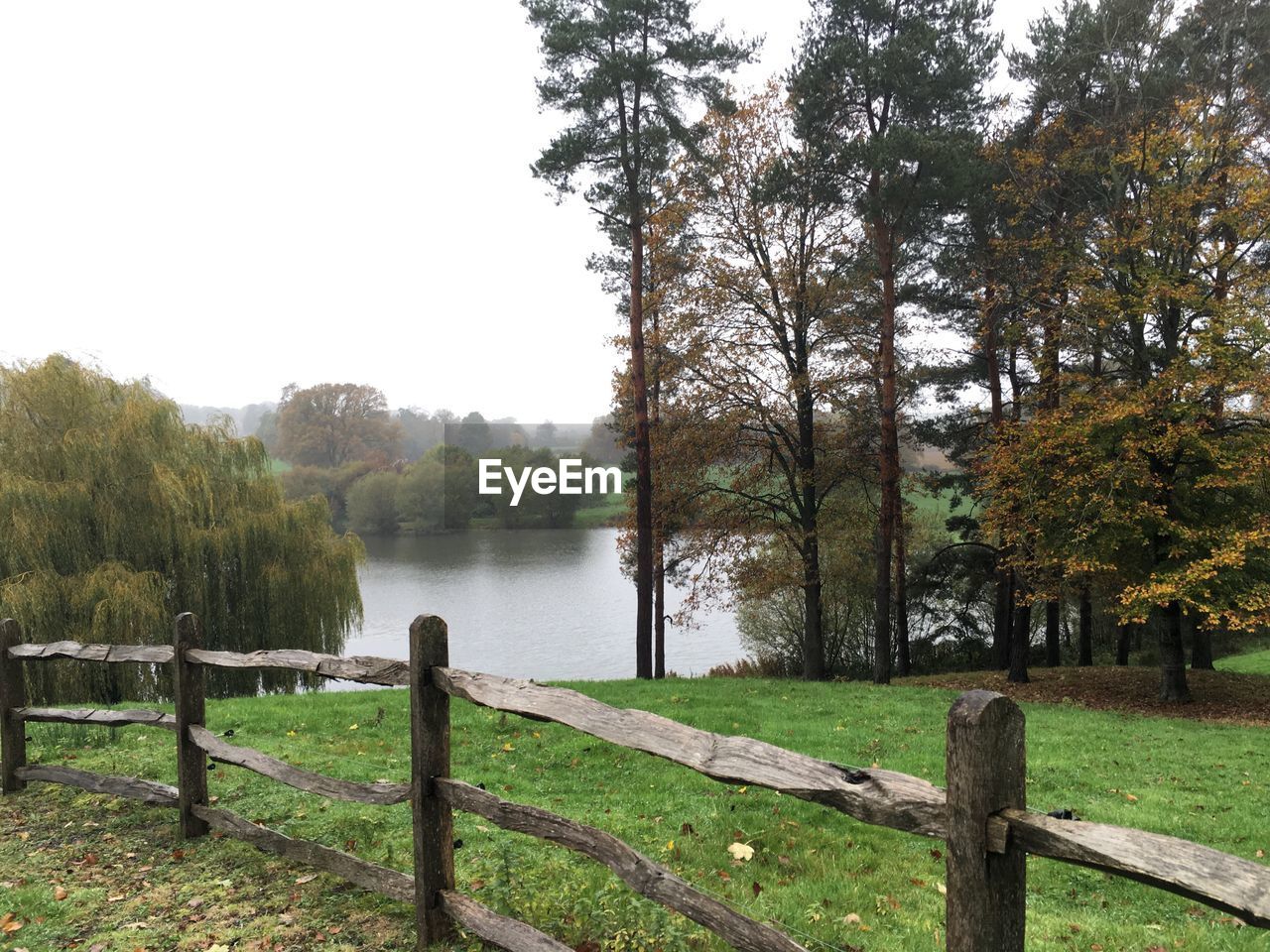 TREES BY LAKE AGAINST SKY