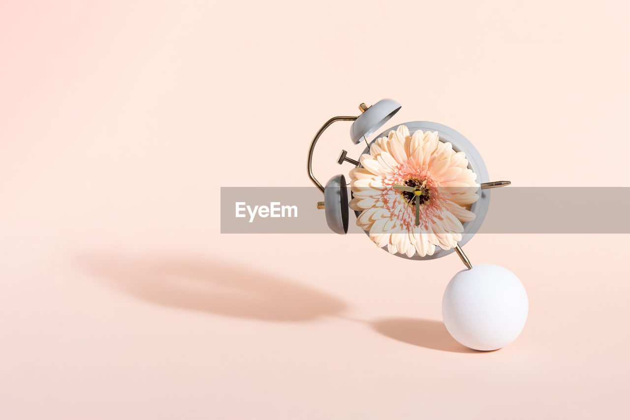 Creative wallpaper with gerbera flower in alarm clock balancing on white ball on pink background
