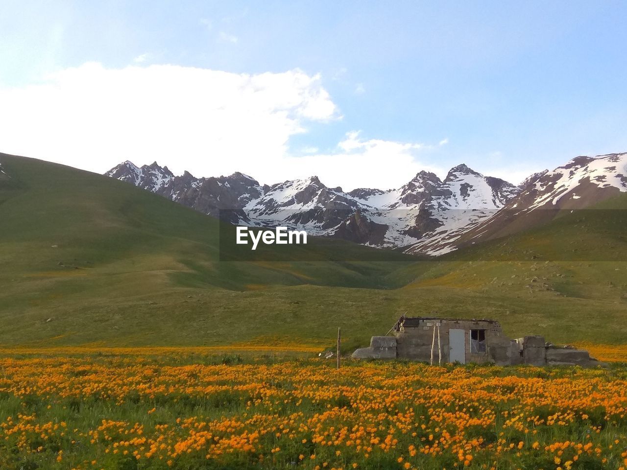 Scenic view of field and mountains against sky