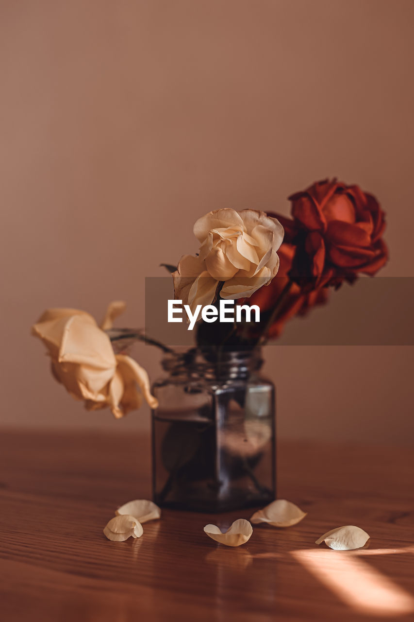 Close-up of roses on table