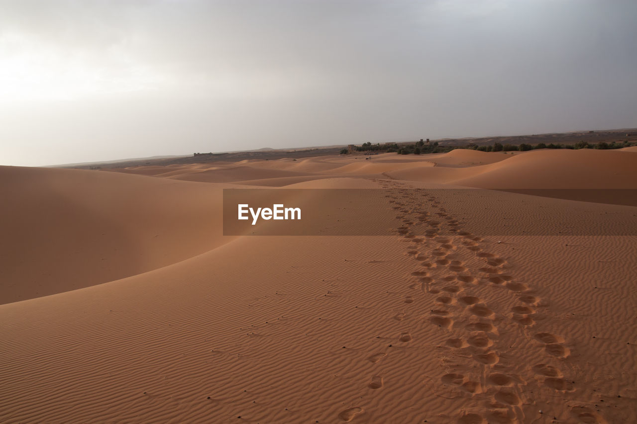 Footprints on sand in a desert