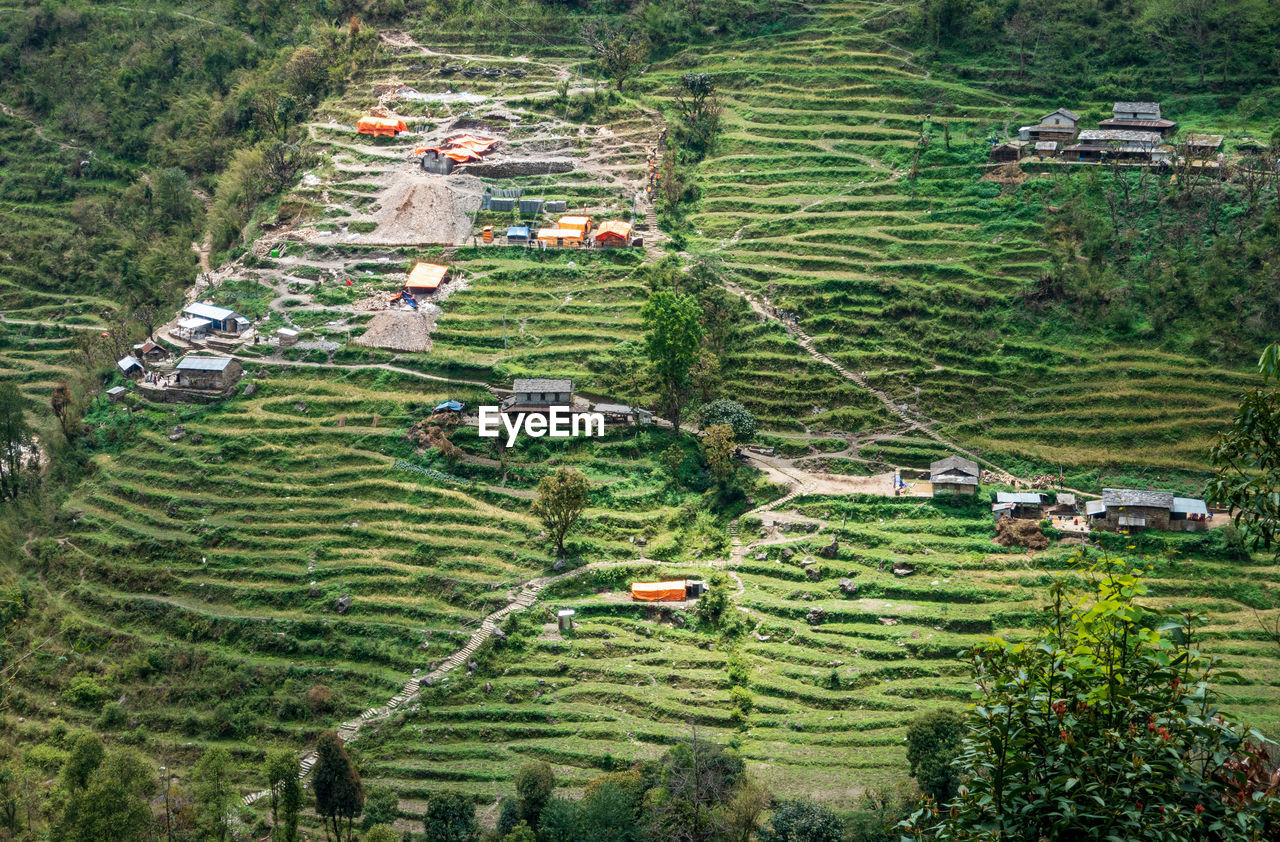 High angle view of agricultural field