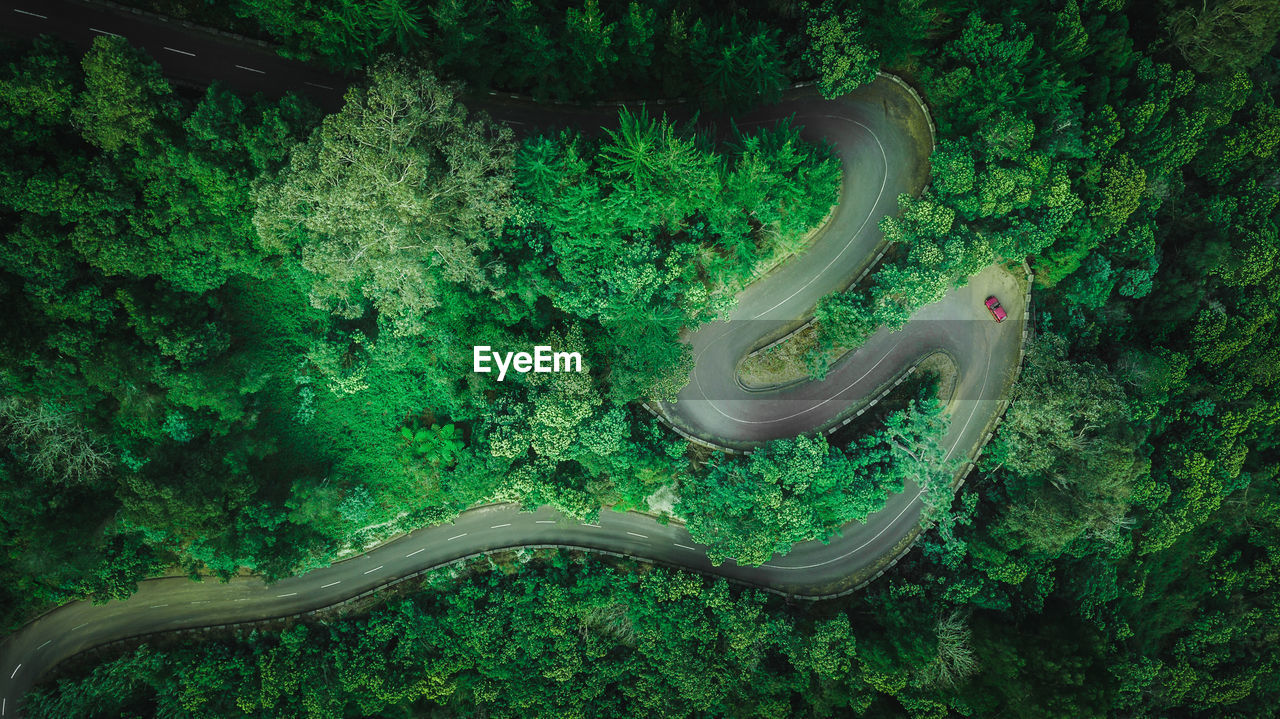Aerial view of winding road in forest