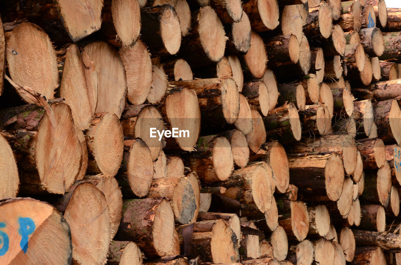 FULL FRAME SHOT OF FIREWOOD STACKED