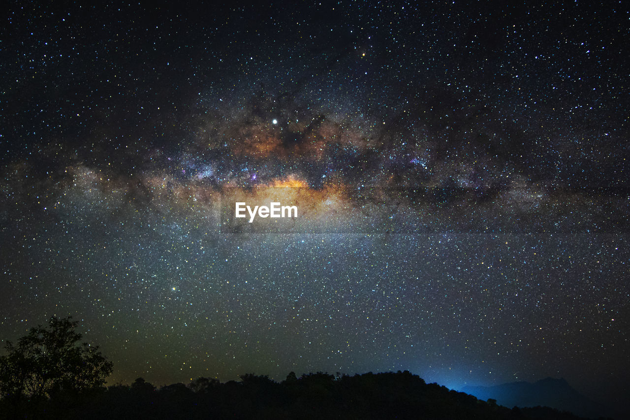 Silhouette trees against star field at night