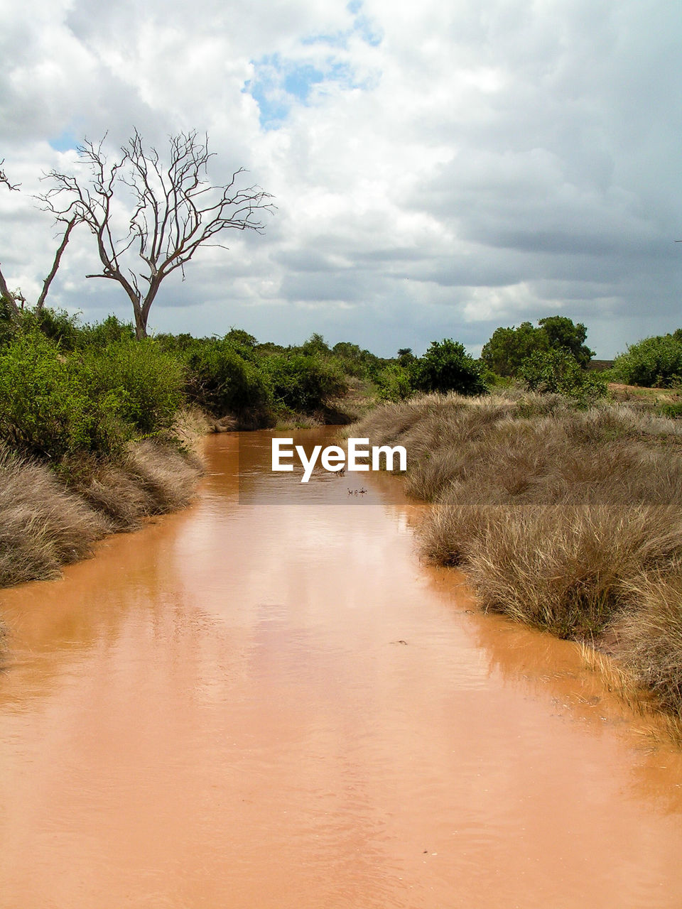 VIEW OF STREAM FLOWING THROUGH SAND DUNE