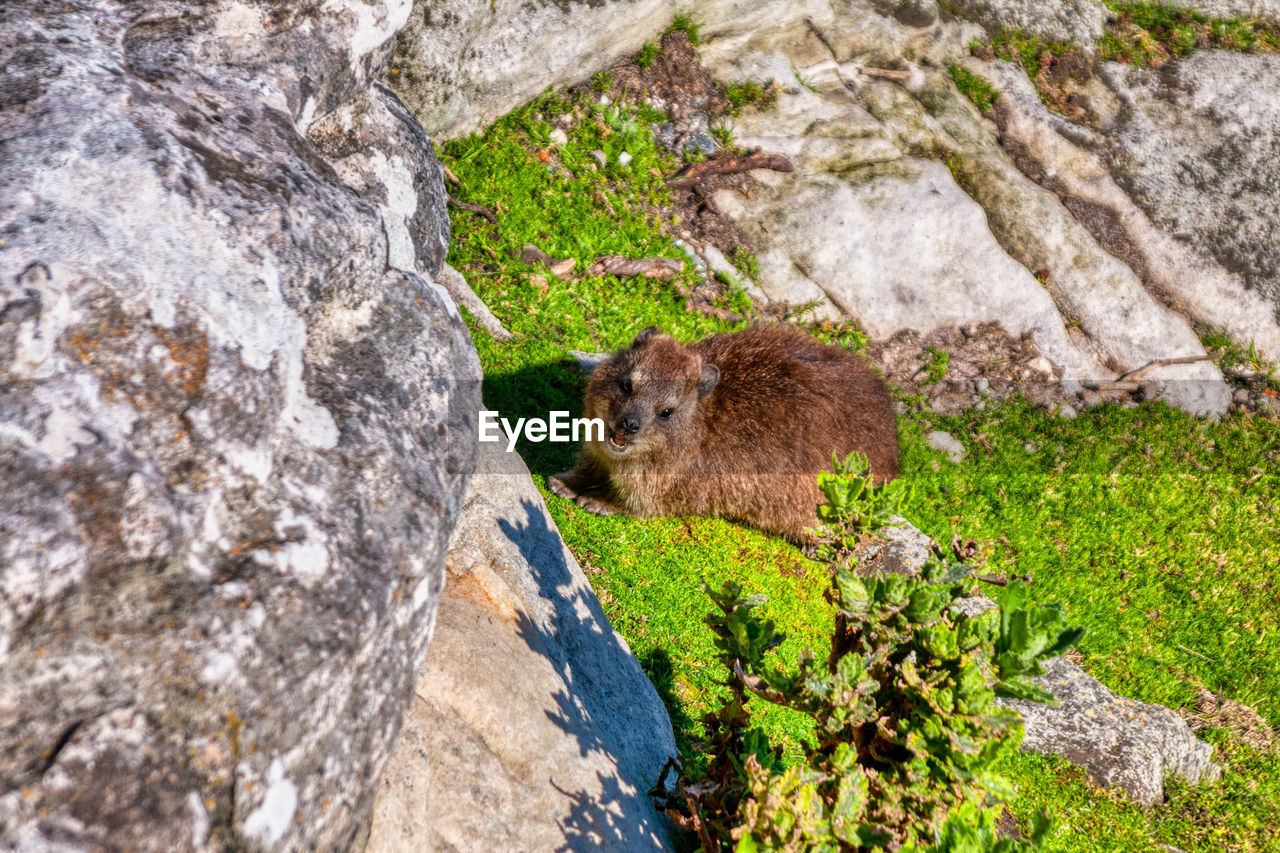 HIGH ANGLE VIEW OF A ROCK FORMATION