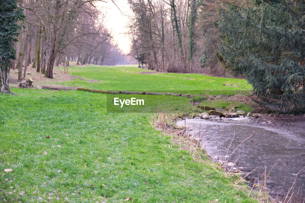 VIEW OF GRASSY LANDSCAPE