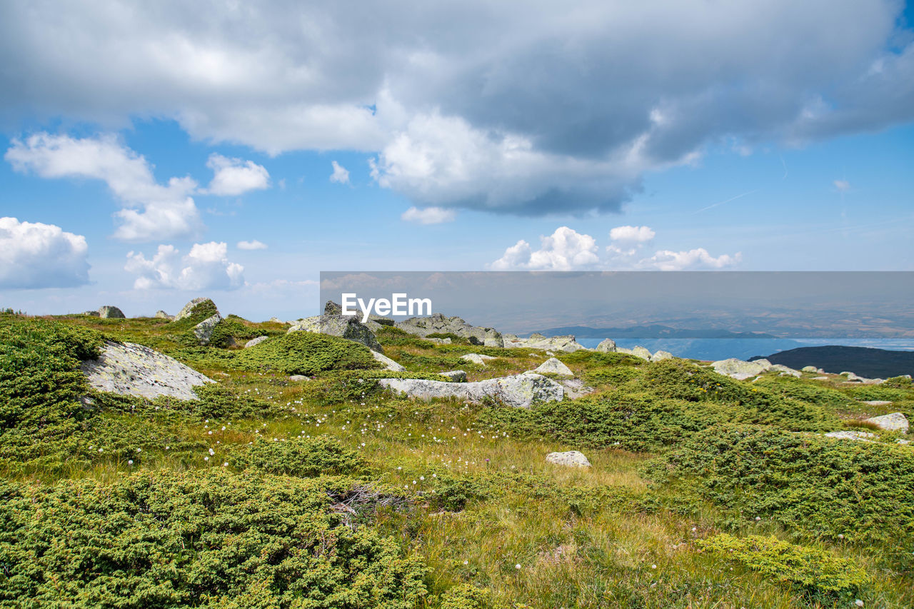 sky, environment, cloud, landscape, hill, nature, plant, scenics - nature, land, beauty in nature, grass, meadow, travel, horizon, sea, travel destinations, no people, water, rural area, tranquility, plateau, tourism, green, outdoors, non-urban scene, wilderness, tranquil scene, day, tree, natural environment, mountain range, grassland, ridge, architecture, summer, blue, coast, rock, flower, building, rural scene, trip, vacation, social issues, holiday, field, beach