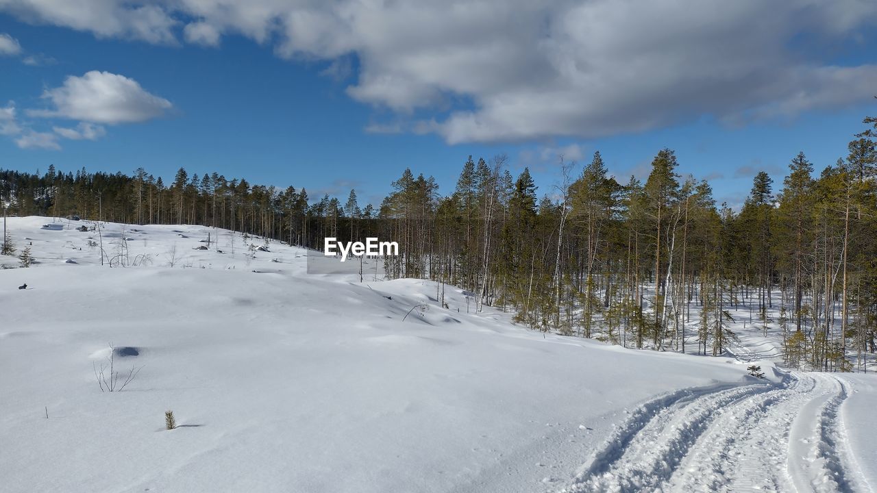 snow, winter, cold temperature, tree, sky, environment, landscape, plant, forest, cloud, scenics - nature, nature, land, beauty in nature, pine tree, coniferous tree, pinaceae, pine woodland, mountain, piste, mountain range, woodland, non-urban scene, travel, tranquil scene, no people, travel destinations, tranquility, white, frozen, day, outdoors, blue, winter sports, tourism, footwear, snowcapped mountain, ridge, vacation, wilderness, holiday