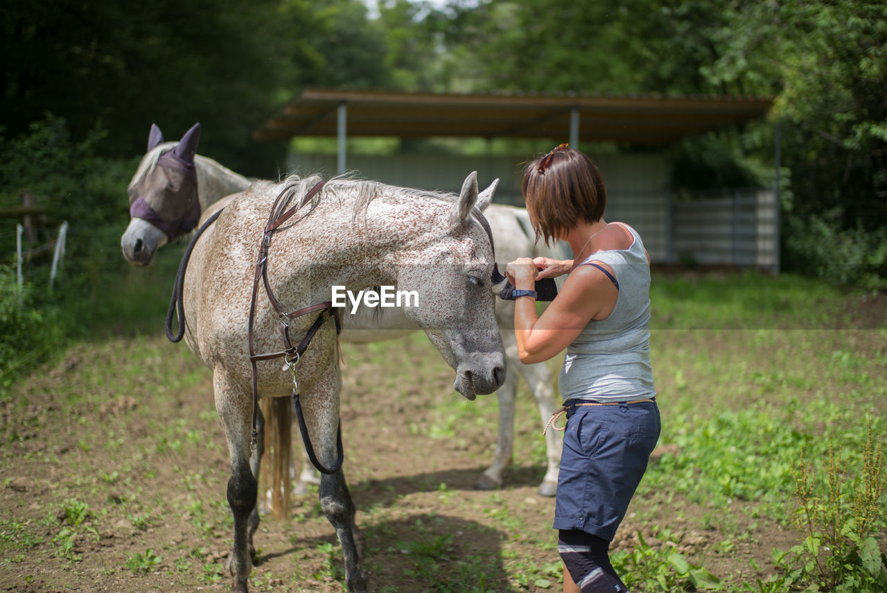 Women cleaning horse on field