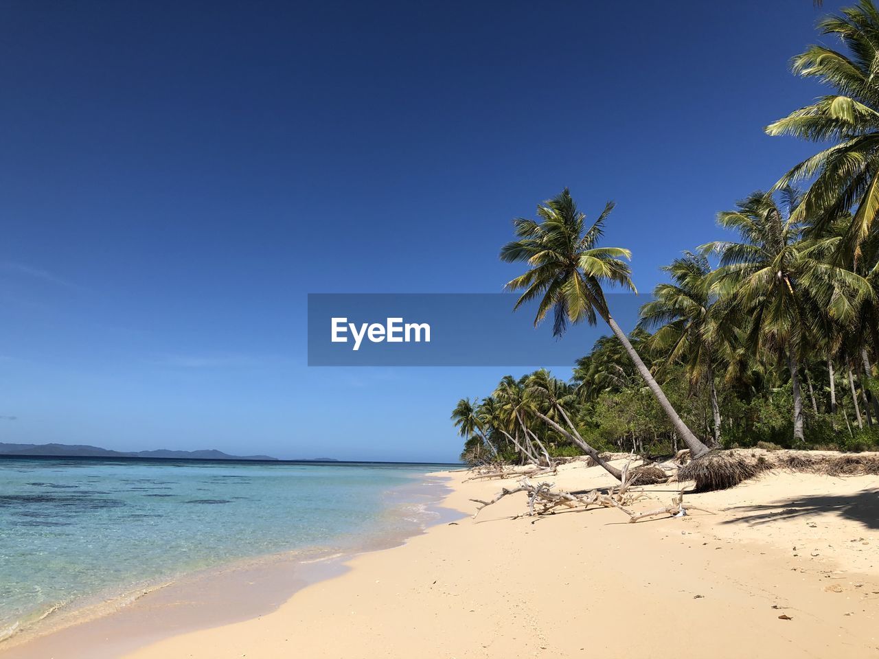 scenic view of beach against blue sky