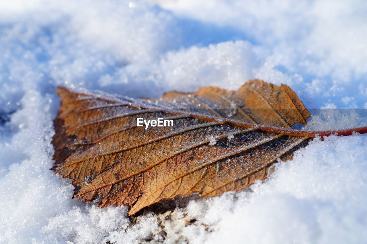 Close-up of snow covered landscape against sky