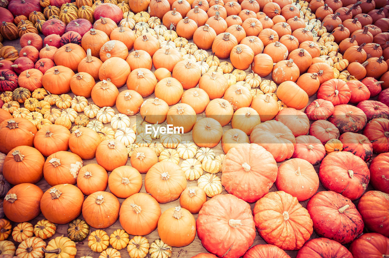 large group of objects, food and drink, food, abundance, healthy eating, produce, freshness, wellbeing, full frame, backgrounds, no people, for sale, vegetable, market, arrangement, orange color, retail, fruit, plant, high angle view, still life, day, repetition, market stall, in a row, order, close-up, outdoors