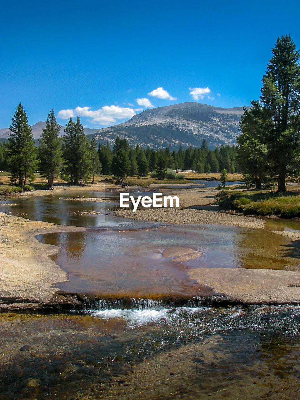 Scenic view of stream by trees against sky
