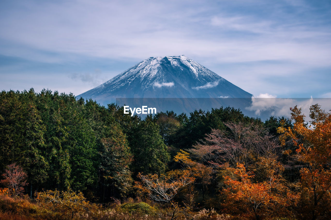 Scenic view of snowcapped mountain against sky