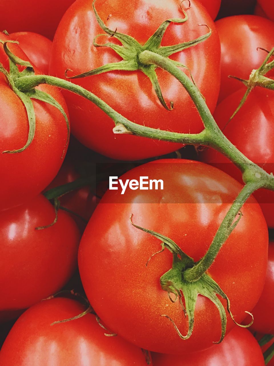 Close-up of fresh tomatoes