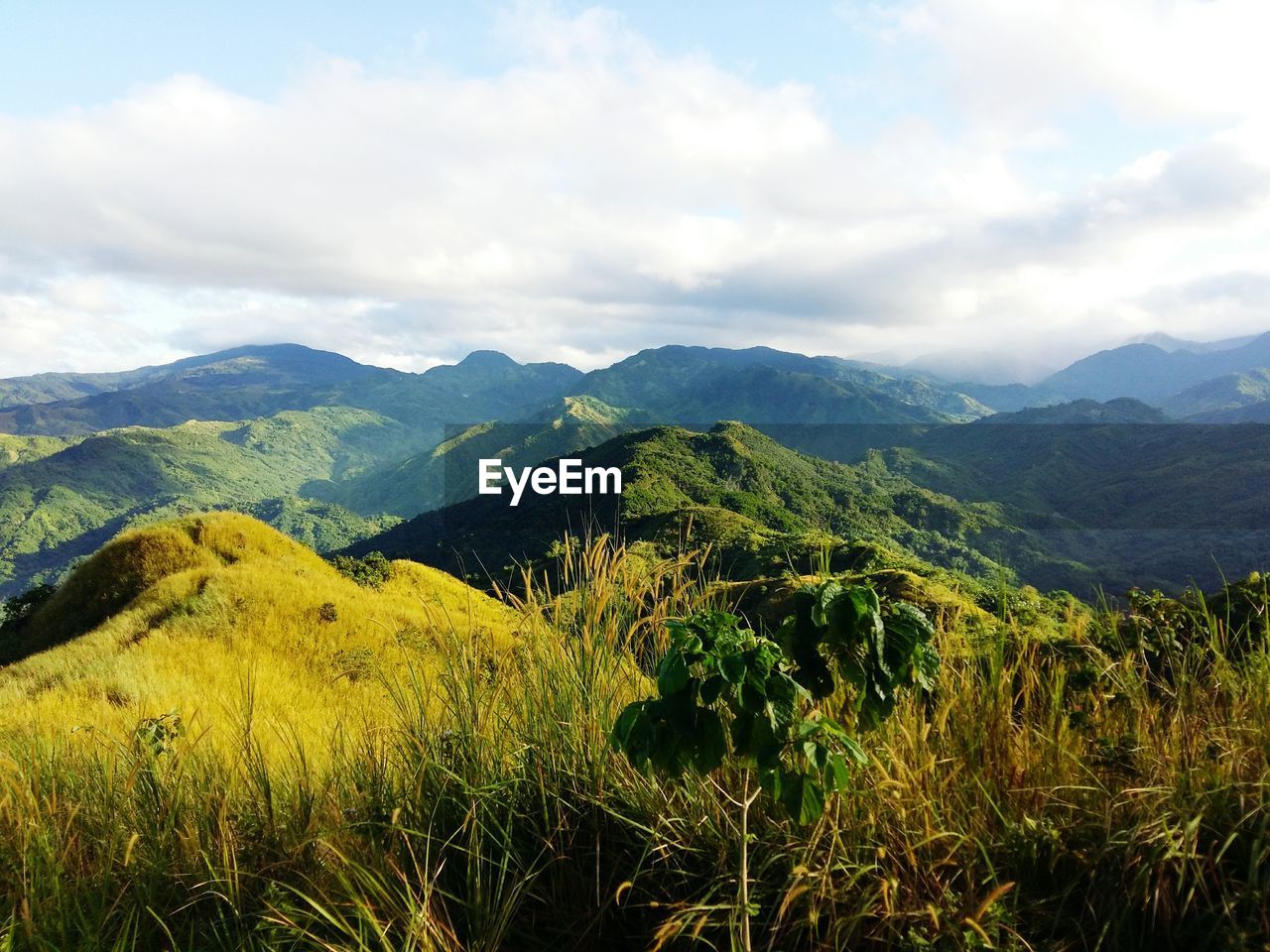 SCENIC VIEW OF GREEN LANDSCAPE AGAINST SKY