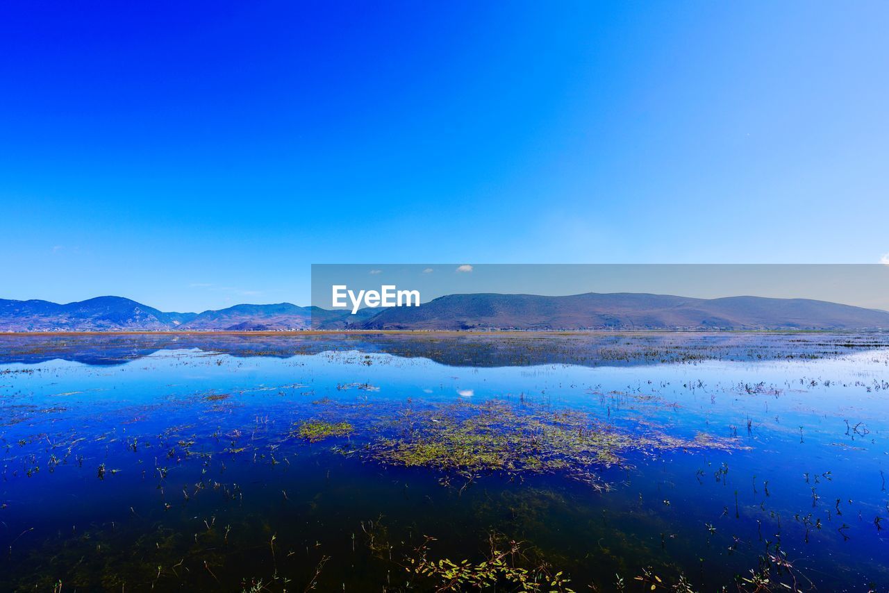 Scenic view of lake against clear blue sky