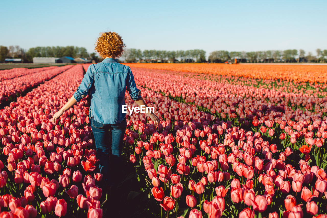 rear view of man standing amidst flowers