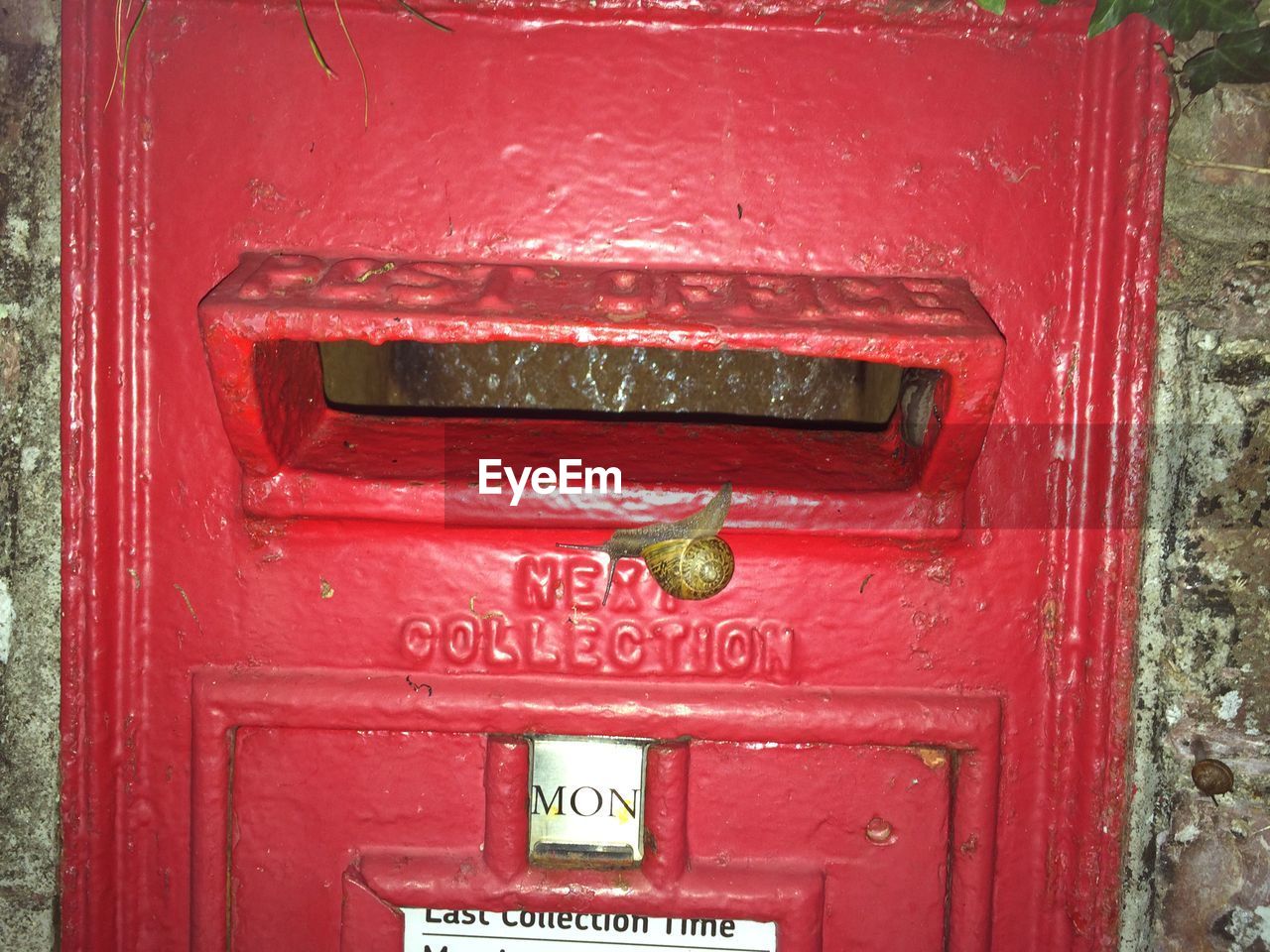 Close-up of snail on red mailbox