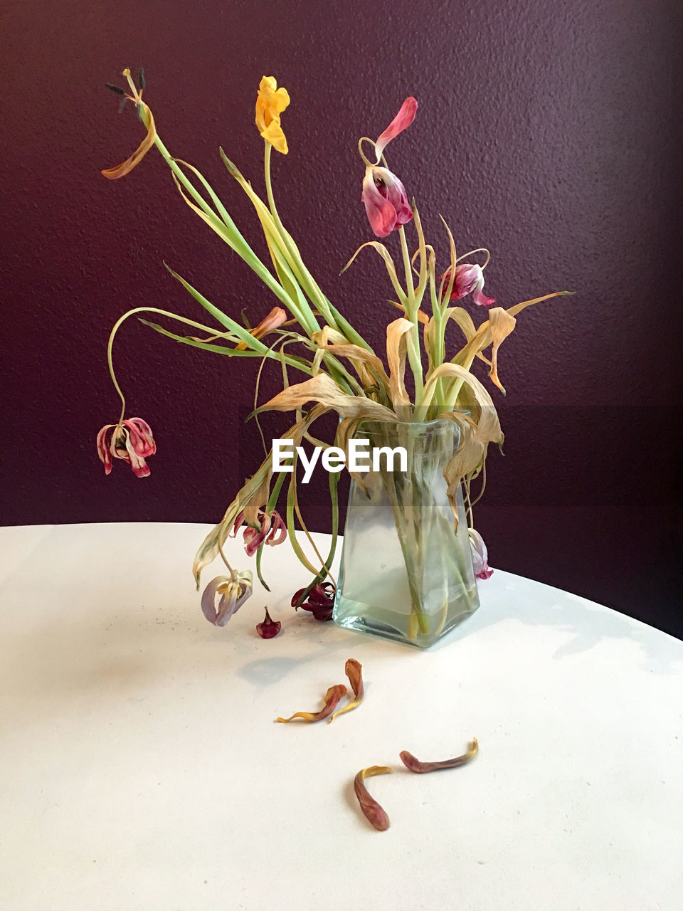 CLOSE-UP OF FLOWERS IN VASE